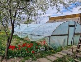 Vanzare casa P+1, anexe, curte, sat Verseni, comuna Miroslovesti, la asfalt - Poză 5