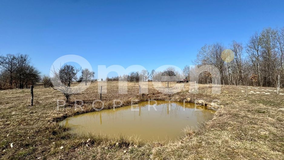 Teren intravilan | Berința | 5800 mp - Poză 1