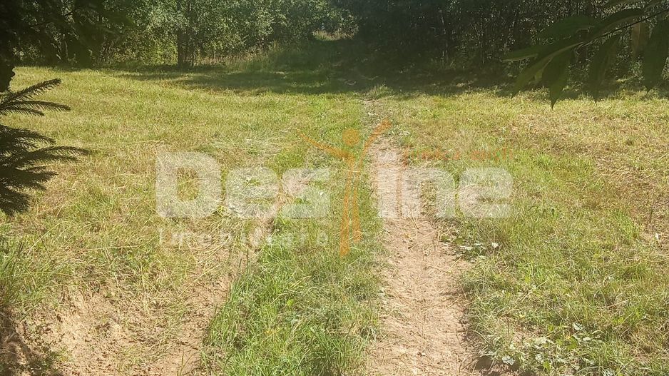 Teren de vânzare – Moisei, Maramureș - Poză 5