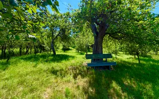 Casă de vânzare-teren 2.300 mp| Ocna Sibiului - Poză 25
