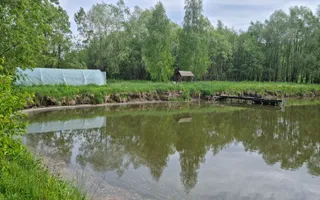 CASA 3 CAMERE, TEREN 6200 MP + 2 LACURI, CAMPULUNG, NAMAIESTI - Poză 24