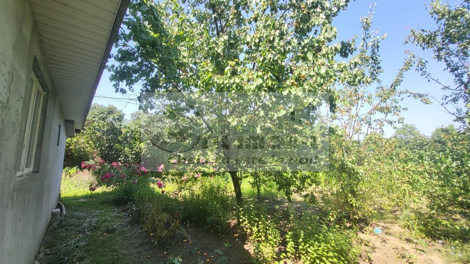 Casă individuala 4000mp teren com Alexandru Ioan Cuza sat Kogalniceni - Poză 6