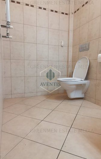 Inchiriere apartament trei camere, semidecomandat, Mosilor - Poză 14