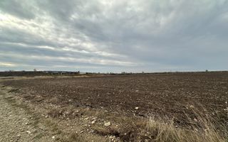 Teren extravilan de vânzare – în apropierea autostrăzii A1, km 80 - Poză 6