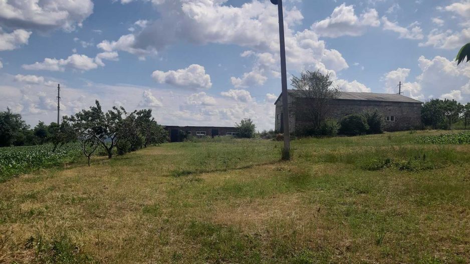 Teren cu spații industriale sau depozitare - Poză 2