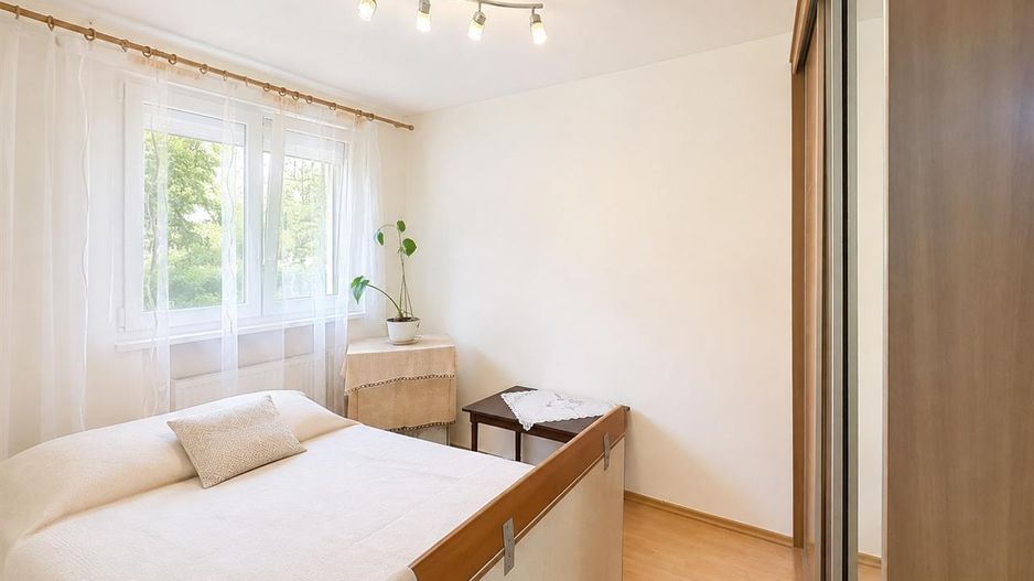 Decomandat, parter, 2 camere, Rovinari, Targu Mures - Poză 3