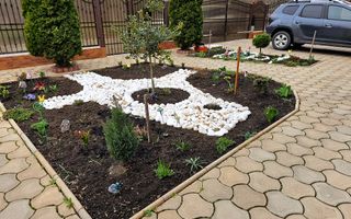 Casa S+P+M, 5 camere, mobilata, utilata, 500 mp teren, Cetate - Poză 4