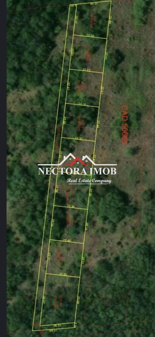 NECTORA IMOB-Loturi de teren 500 mp,Zona Saldabagiu de Munte-Lac Paleu - Poză 2