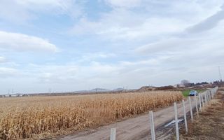 Teren intravilan industrial,str.Durau - Poză 4