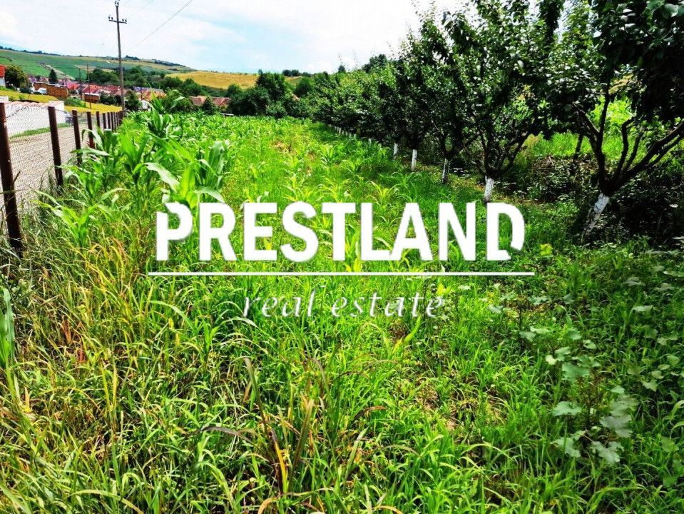 Teren intravilan construcții in Șura Mare. - Poză 1