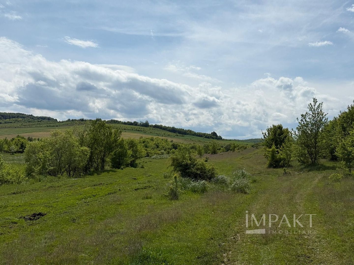 Teren de vânzare în Salistea Noua! - Poză 4