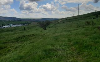 Teren in Valcele - Poză 8