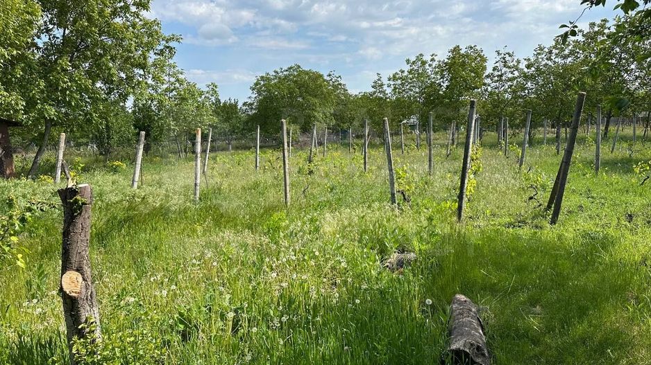 Vânzare, casă,115 mp + 18 ari, sat Corlăteni, Rîșcani - Poză 18