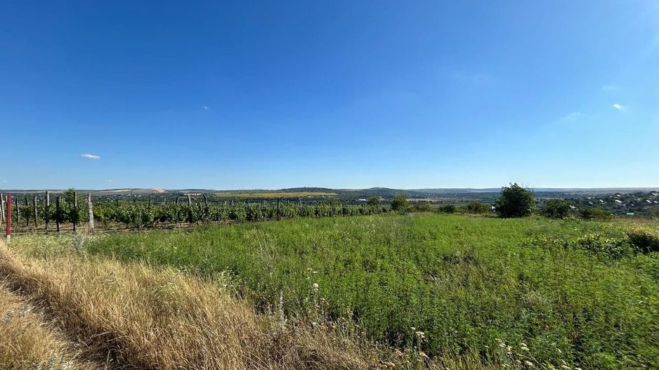 Teren de vânzare 10 ari Sângera (Floreni) - Poză 5