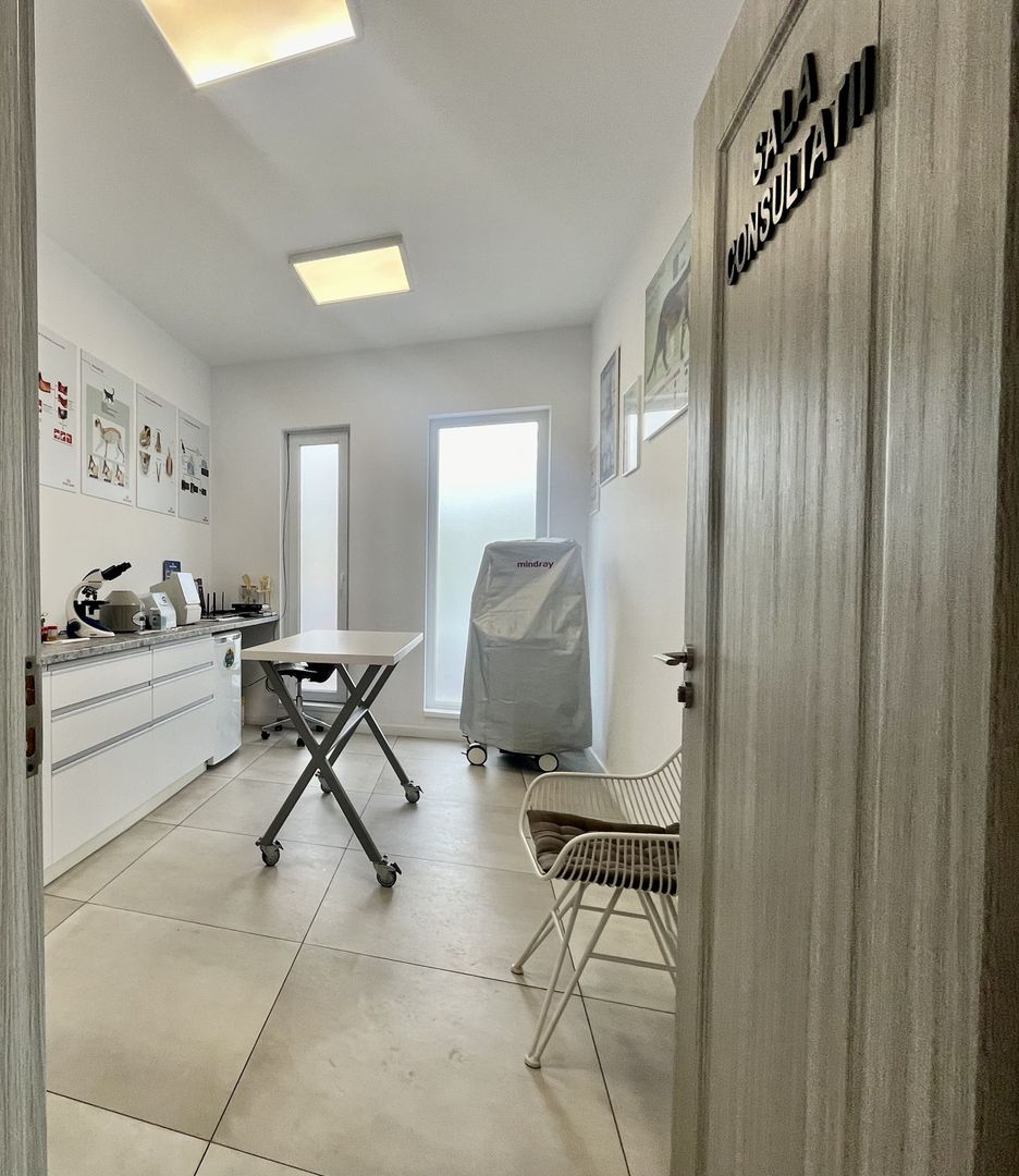 Spatiu comercial, amenajat si compartimentat, in Dumbrăvița - Poză 4