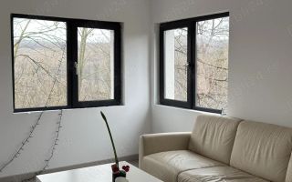 Casă de închiriat, Țicău Iași - Poză 5