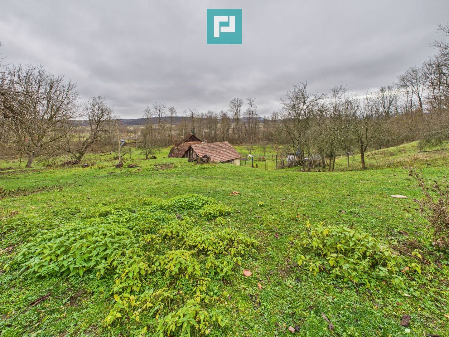 Casă cu teren de 24.679,73 mp, în Hălmagiu, Arad - Poză 15