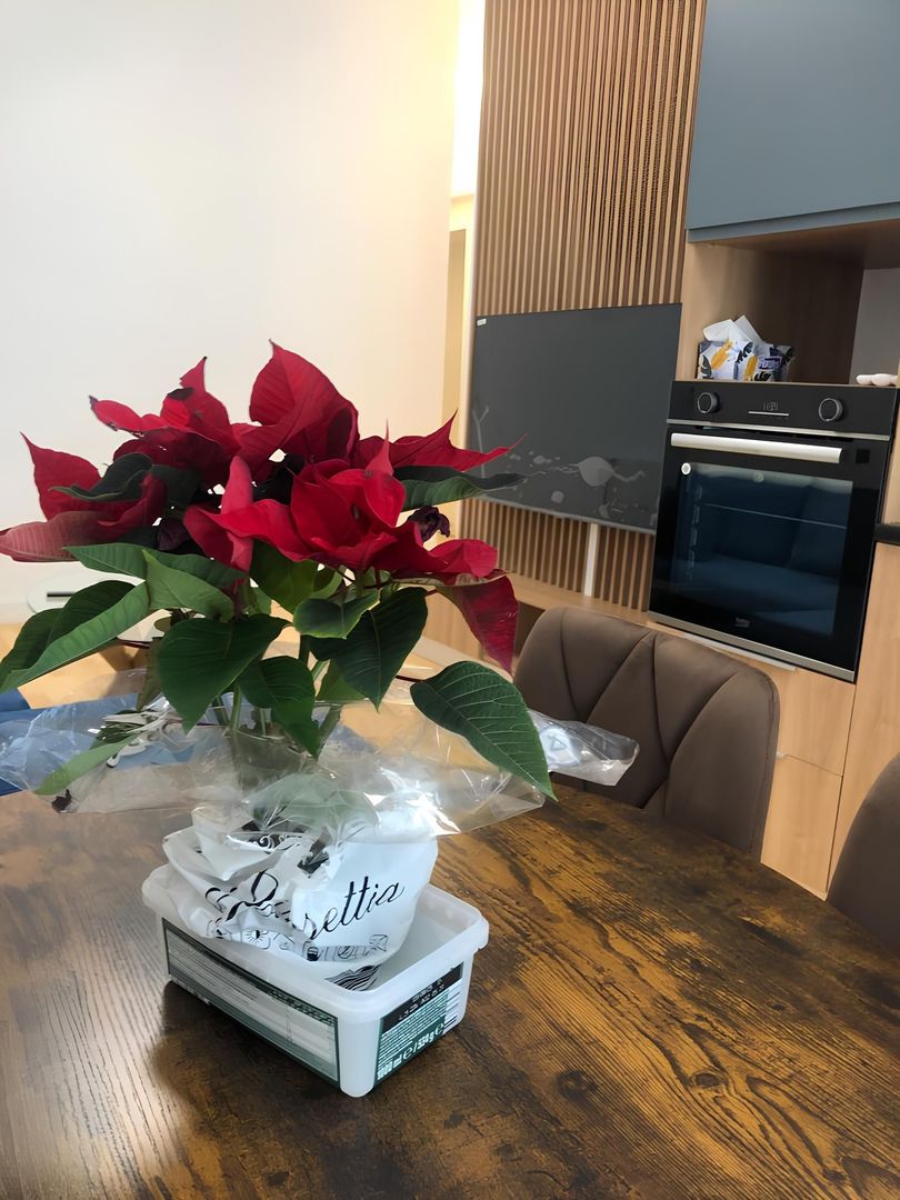 Apartament modern 2 camere  Marmura Residence I Gradina proprie - Poză 17