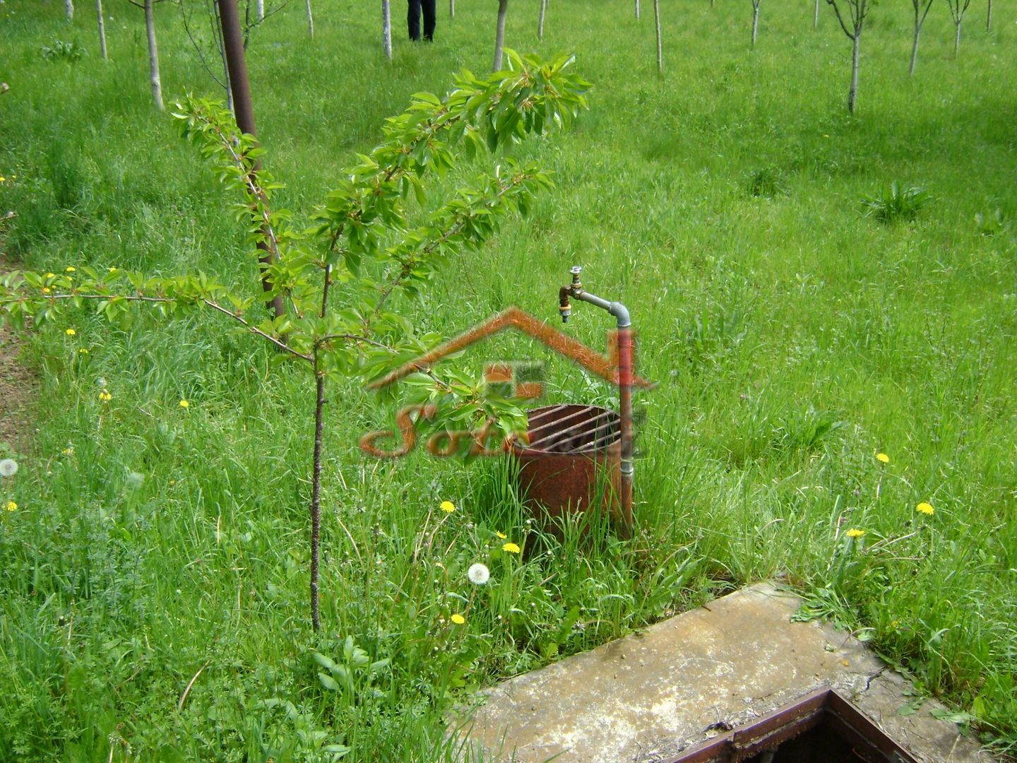 Teren de vanzare in Cornu 1183 mp - Poză 4