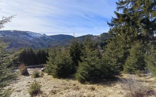 Teren de vânzare în zona montană a județului Alba - Poză 10