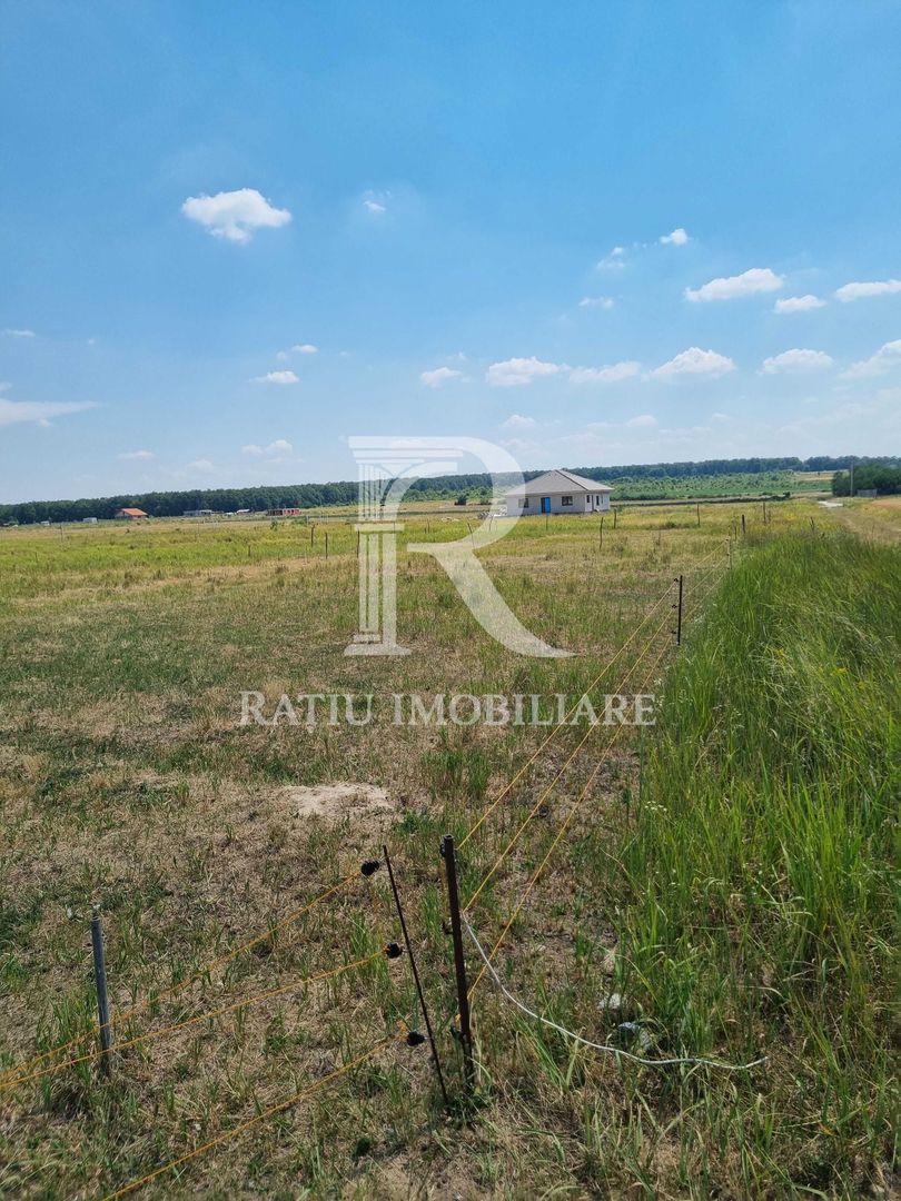 Teren intravilan | Cihei | Bihor - Poză 4