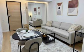 STUDIO PREMIUM | PET FRIENDLY | HERASTRAU - Poză 1