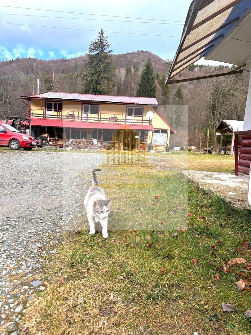 Vila de vanzare in Parcul national Piatra Craiului - Poză 4