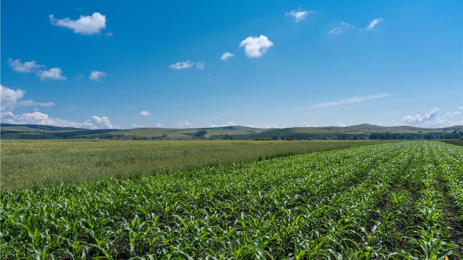 5.000 mp, teren extravilan, conditii apreciabile, Bod, Brasov - Poză 1