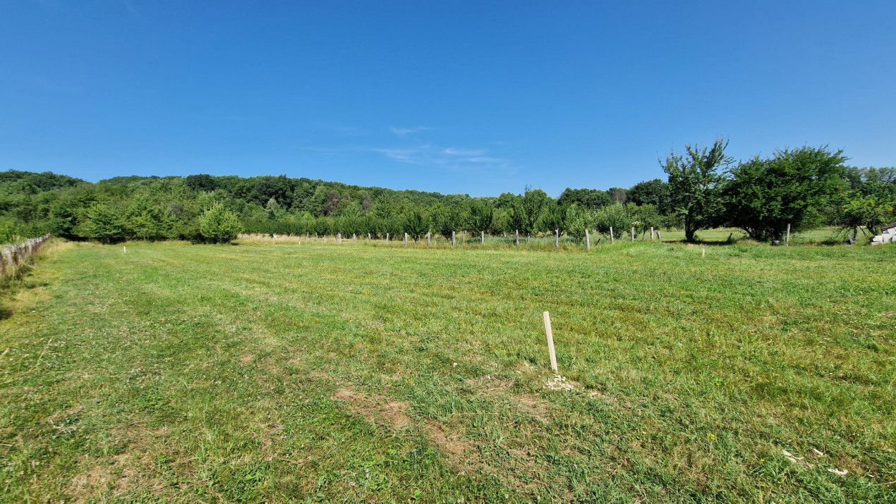 Vanzare teren intravilan, Smeura de Sus - Poză 5