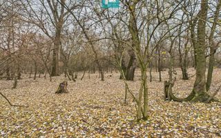 Teren spectaculos la  Periam Port - Poză 29