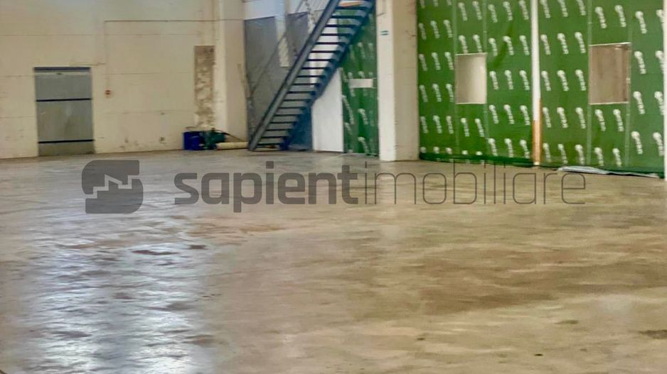 Sapient | Hală situata în com. Borș - Poză 7