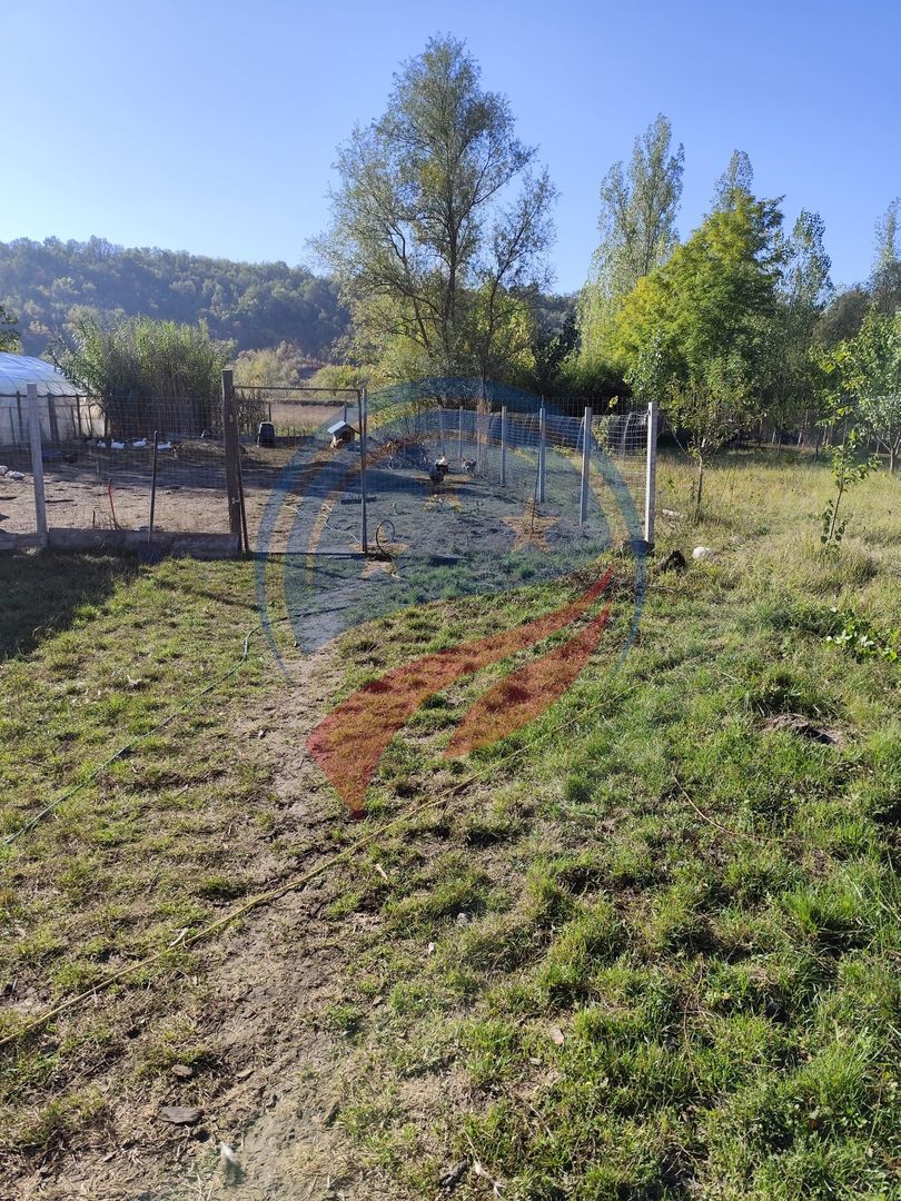 Casa cocheta la 30 minute de Craiova- Cornița Dolj - Poză 13