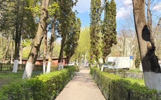 Apartament cu 2 camere decomandate,  zona Iulius Mall! - Poză 12