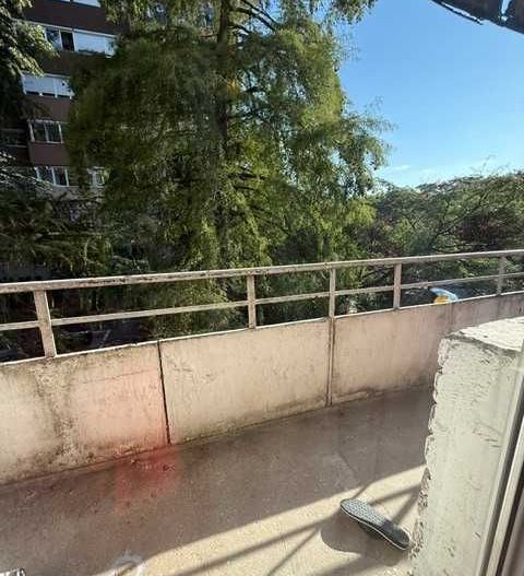 Bd Coposu( Pirvan) Apartament 1 camera - Poză 8
