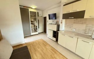 Apartament 2 camere INTABULAT 50 mp Bucium 71000 euro - Poză 4
