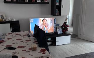 BRASADAS vinde ap 2 cam PARTER Micro 15 40mp. - Poză 3