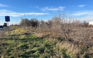 Teren intravilan, Săcădat, 27 921 mp. 9,5 Euro/mp. Comision 0. - Poză 5