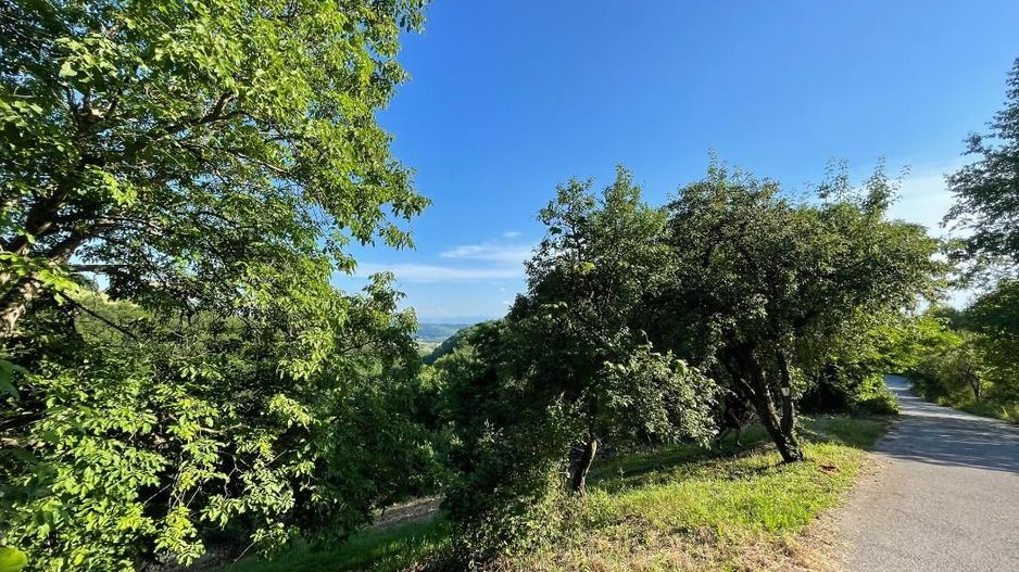 Teren zona turistica Rosia - Poză 5