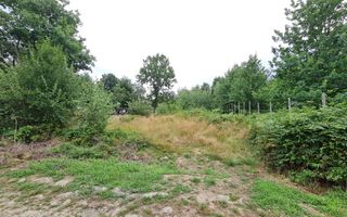 Teren intravilan de vânzare | 1.656 mp | 69.000 € | strada Murelor | Groși - Poză 1