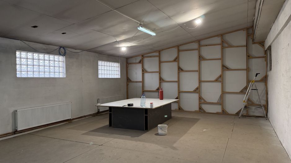 Hală industrială cu poziționare strategică în Giarmata - Poză 10