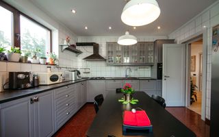 Vilă modernă  cu curte generoasă în Iancu Nicolae - Poză 10