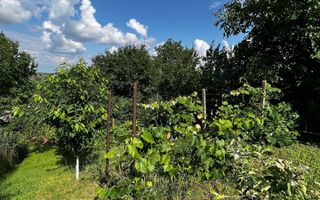 Teren 900 mp + Constructie 30 mp, zona Impr. Traian ( toate utilitatile ), pret 85.000 euro usor negociabil - Poză 2