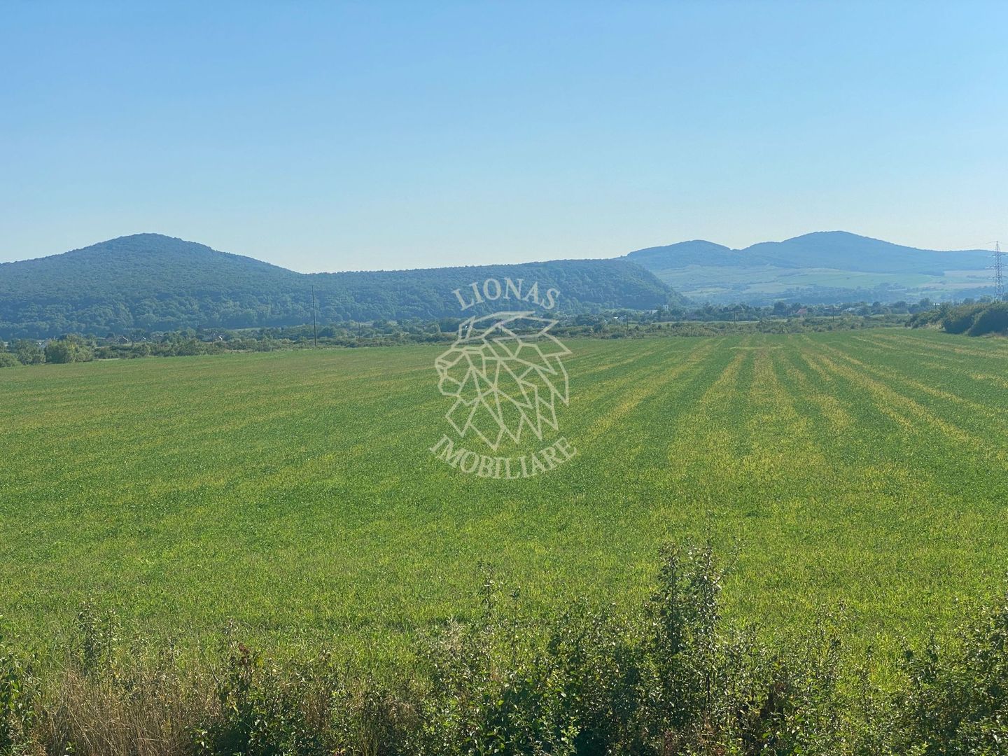 Teren 13400mp la DN 17-parcelabil Sieu-Sfantu - Poză 5