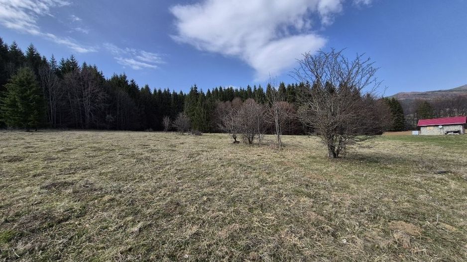 Teren intravilan la baza pădurii Valea Doftanei sat Traisteni (poduri) - Poză 2