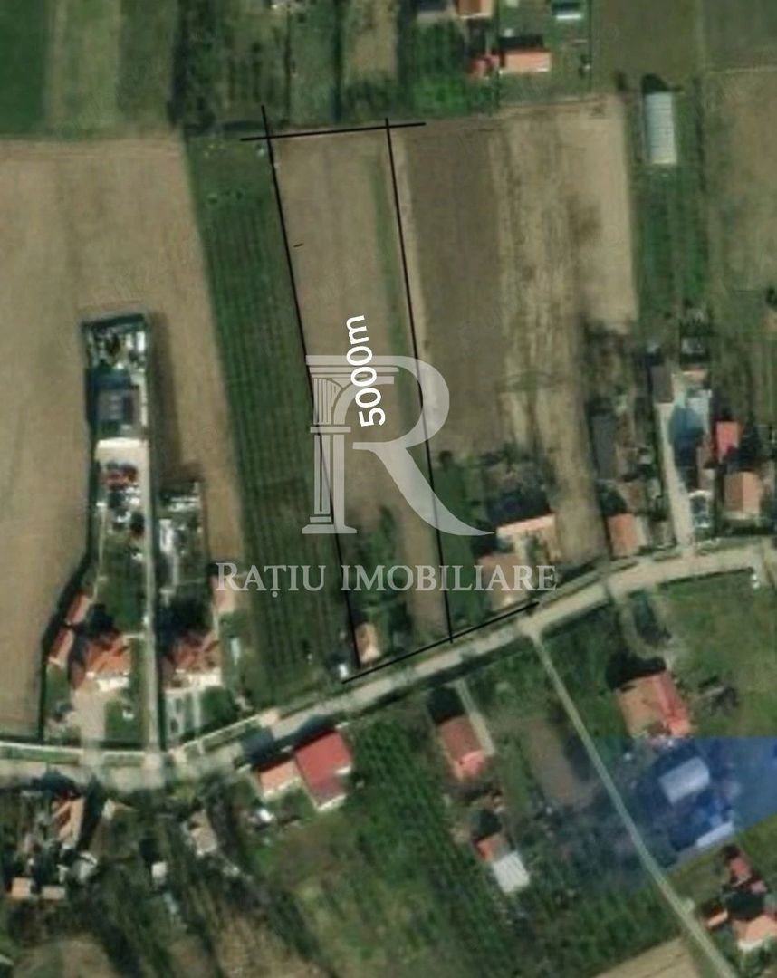 Teren intravilan 5.000 mp de vânzare | Leș - Poză 1