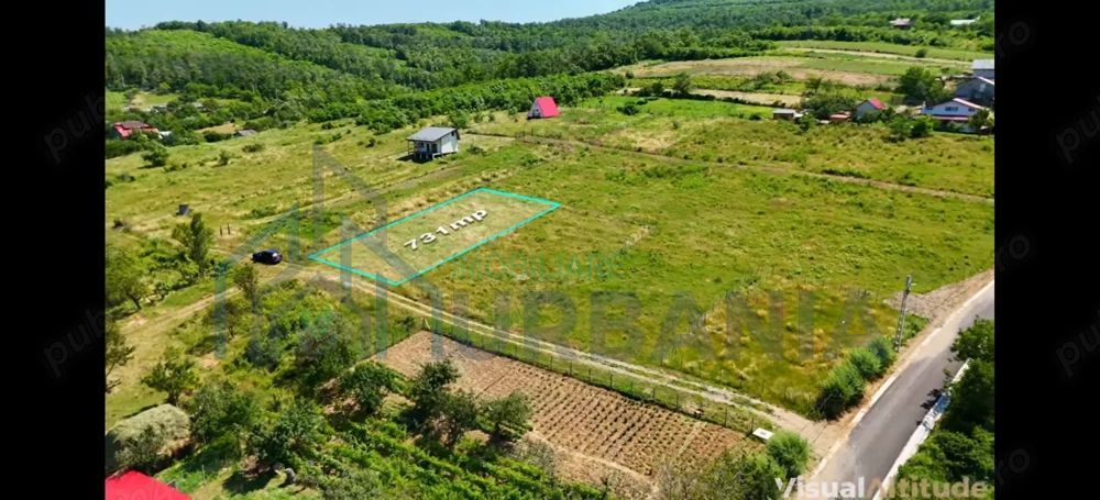 Teren Goruni Tomesti - Poză 2