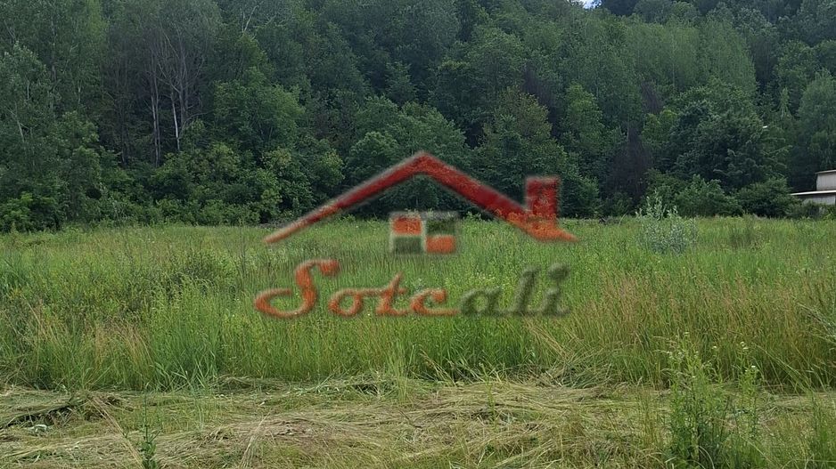 Teren industrial premium cu deschidere directă la DN1 – Cornu, Prahova - Poză 3