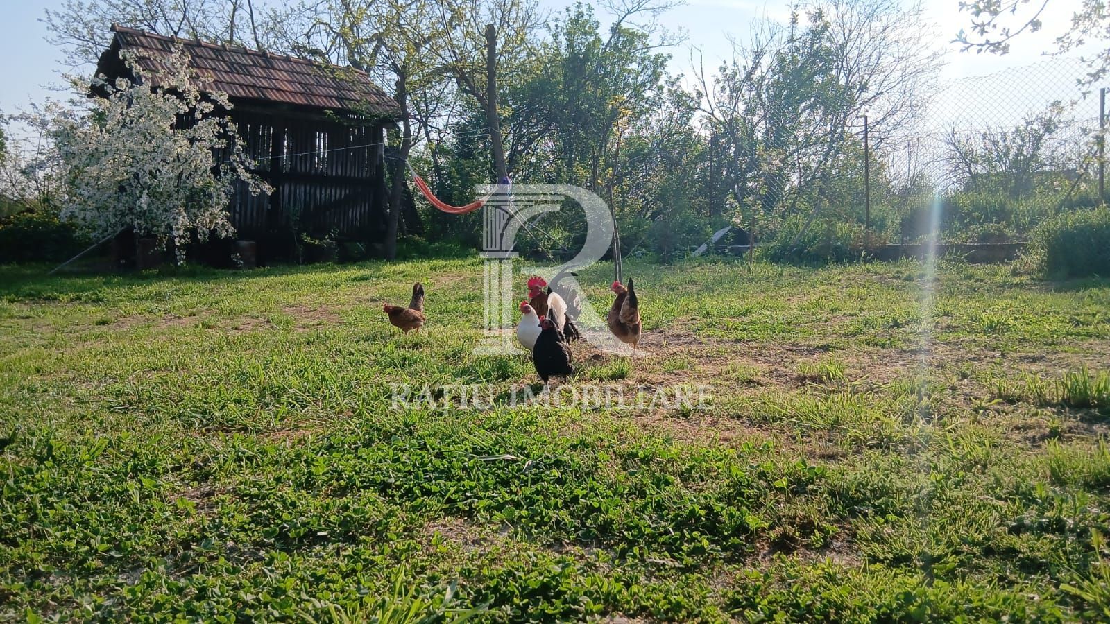 Casa 3 Camere + Anexe de Vanzare  | 125 + 73 mp | Santaul Mare | Bihor - Poză 14