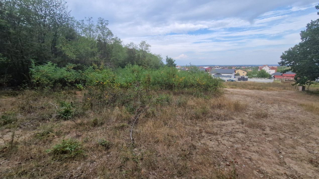 AZURA Imobiliare - Vanzare teren Hintesti, langa padure, 300m din DN - Poză 14