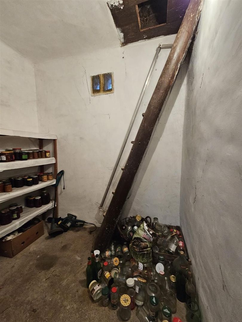 Casa Uileacu de Cris - Poză 8